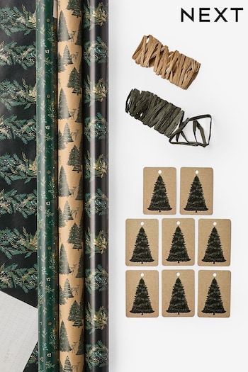 Evergreen Trees Set of 3, 3m Christmas Wrapping Paper (408871) | £8