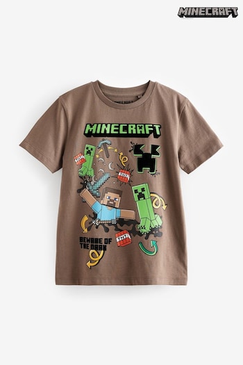 Brown Licensed Minecraft Gaming T-Shirt (4-16yrs) (426962) | £9 - £12