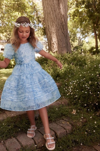 Laura Ashley Blue Organza Floral Midi Dress (437024) | £34 - £38