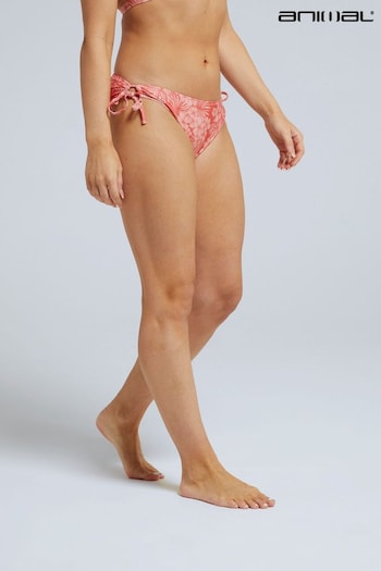 Animal Womens Pink Iona Recycled Tie Side Bikini Bottoms (438637) | £25