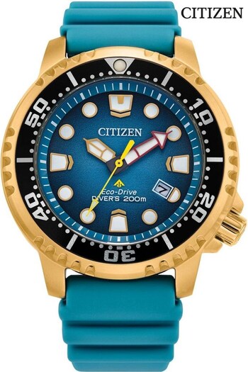 Citizen Gents Blue Eco-Drive Promaster Diver Dive Watch (442278) | £289