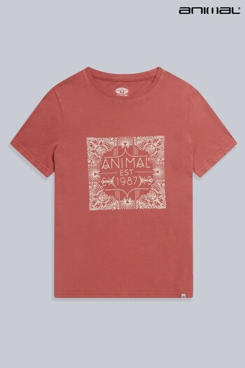 Animal Womens Orange Carina Organic Graphic T-Shirt (442391) | £25