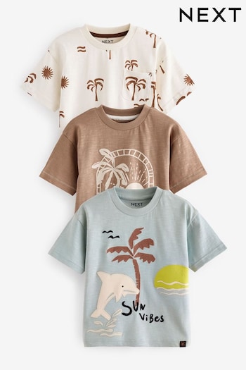 Blue/Brown Short Sleeve Character T-Shirts sleeve 3 Pack (3mths-7yrs) (443978) | £17 - £21