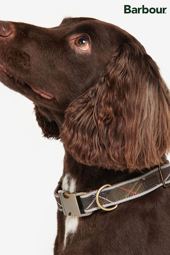 Barbour® Green Reflective Tartan Dog Collar (449316) | £28