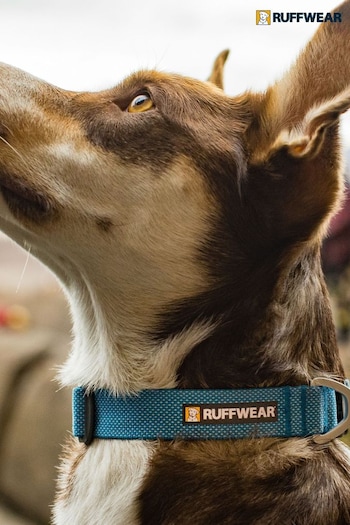 Ruffwear Blue Hi & Light™ Lightweight Dog Collar (451191) | £23