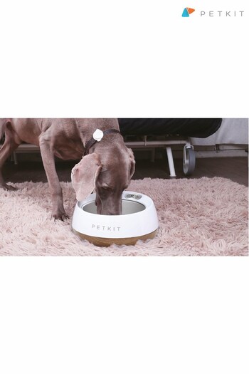 PetKit Metal Smart Fresh Pet Bowl (464525) | £43