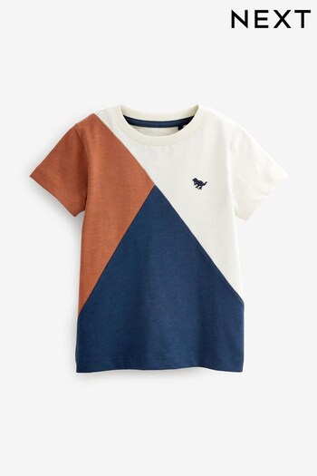 Rust Brown & Navy Short Sleeve Colourblock T-Shirt (3mths-7yrs) (498416) | £5 - £7
