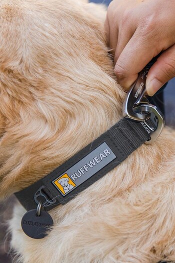 Ruffwear Grey Front Range™ Dog Collar (505765) | £20