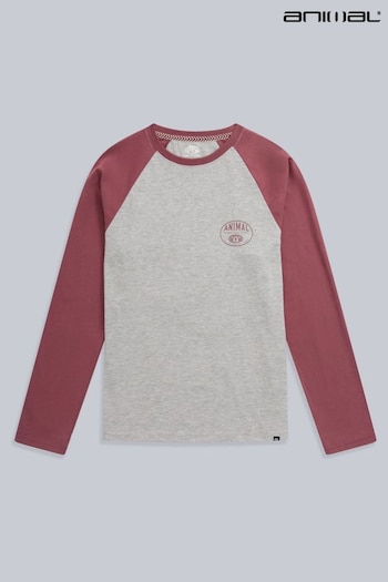 Animal Mens Red Sander  Organic T-Shirt (506151) | £28