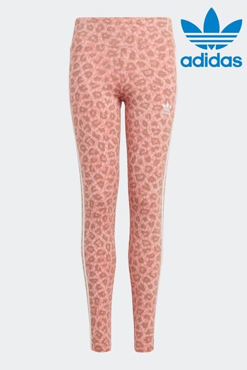 adidas Originals Animal Allover Print High Waist Leggings (509598) | £25