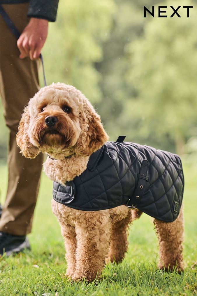 Long sleeve hotsell dog jacket