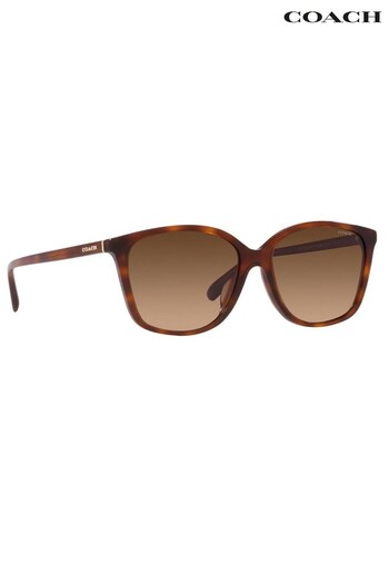 COACH Brown 0HC8361U Sunglasses (514559) | £118