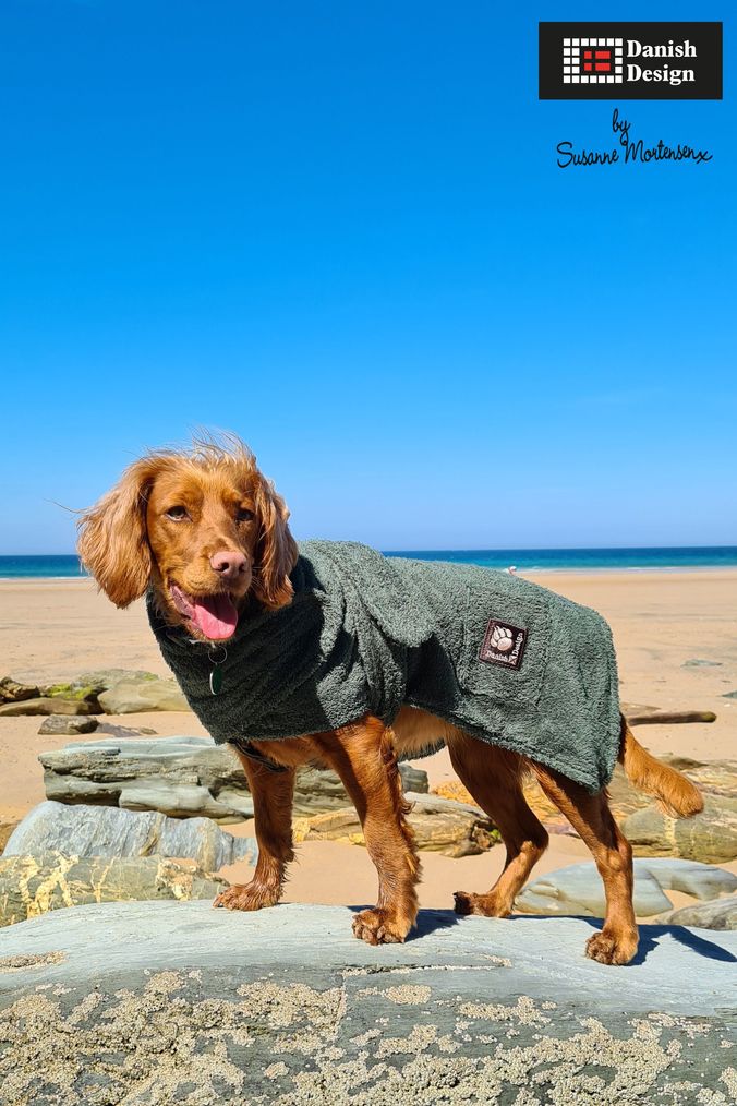 Dog jumpers shop next