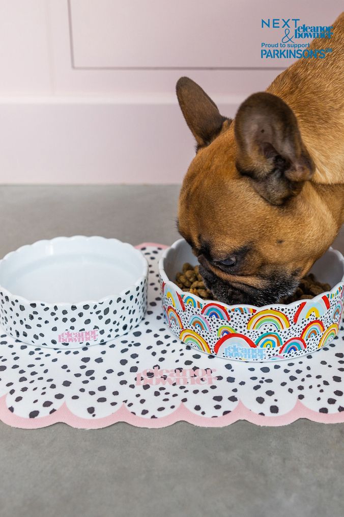 Paul smith hot sale dog bowl