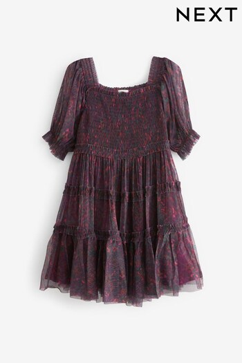 Berry Red Ditsy Floral Mesh Tiered Dress (3-16yrs) (528744) | £25 - £31