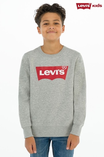 Levi's® Grey Batwing Logo Kids Sweater (534978) | £35 - £40