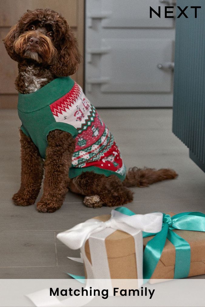 Next dog shop christmas jumper