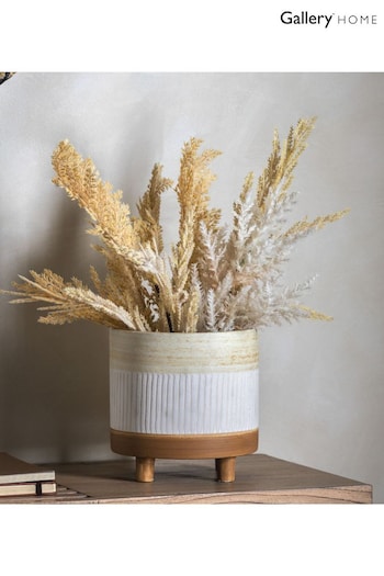 Gallery Home Natural Dry Grass Bouquet (550766) | £26