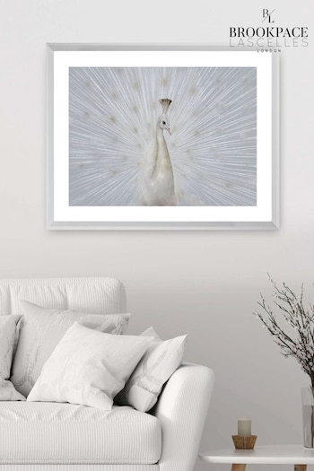 Brookpace Lascelles White Peacock Fan Artwork In Frame (550920) | £156