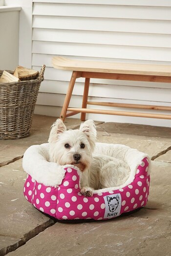 Bunty Pink Deep Dream Dog Bed (556820) | £30 - £35