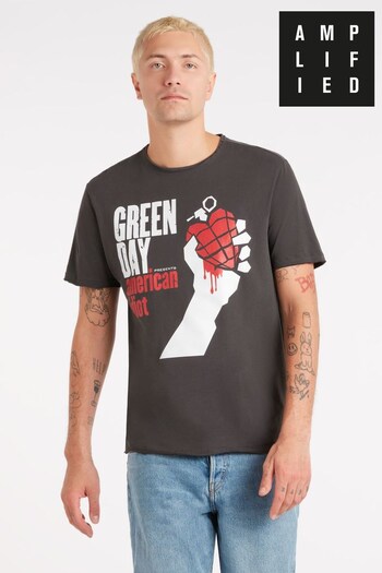 Amplified Grey American Idiot T-Shirt (559091) | £25