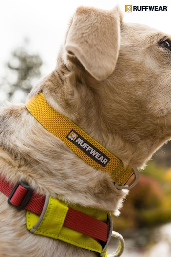Ruffwear Green Hi & Light™ Lightweight Dog Collar (561467) | £23