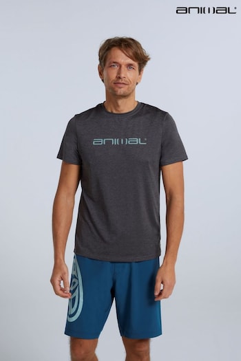 Animal Mens Grey Latero Logo Swim T-Shirt (562070) | £25