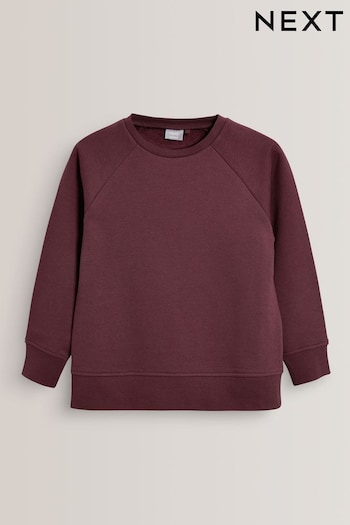 Berry Red 1 Pack Crew Neck School Sweater (3-17yrs) (568267) | £6 - £12