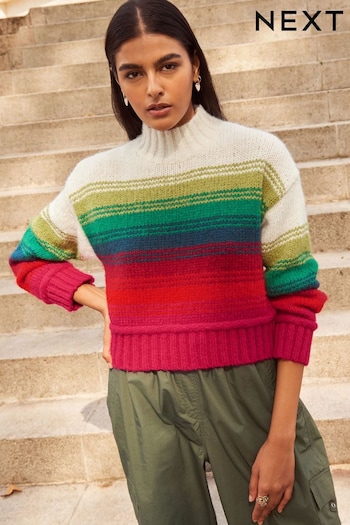 Multicolour Stripe Cropped High Neck Long Sleeve Jumper (575512) | £37