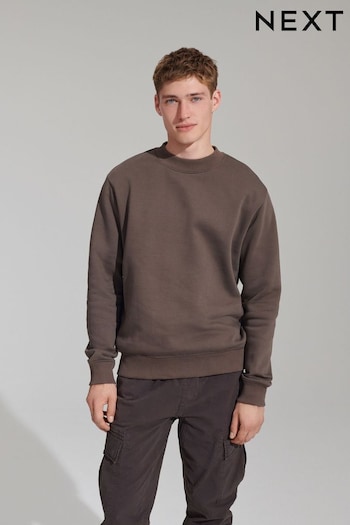 Light Brown Regular Fit Crew Sweatshirt (586771) | £26
