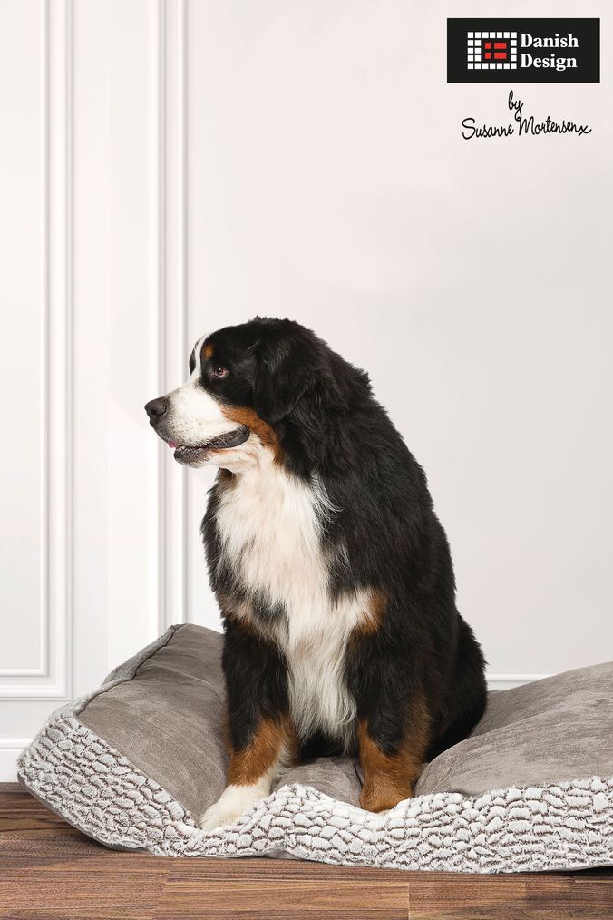 Buy Danish Designs Pet Beds Christmas Online Next UK