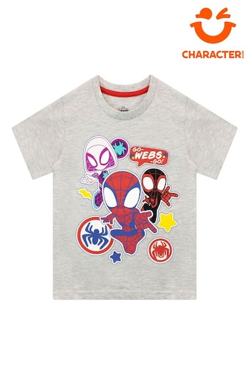 Character Grey Spider-Man Short Sleeve T-Shirt (590951) | £9