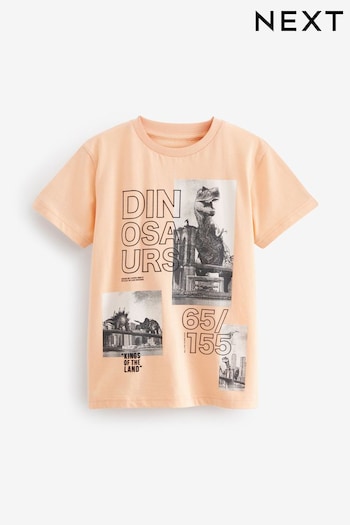 Peach Pink Photo Dino Short Sleeve Graphic T-Shirt (3-16yrs) (595745) | £5 - £8