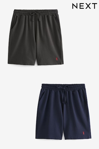 Navy Blue/Dark Grey Lightweight Shorts 2 Pack (597506) | £27