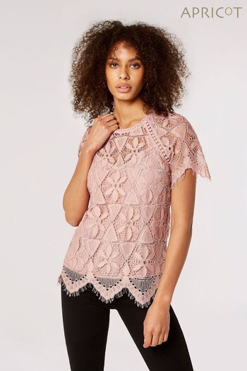 Apricot Pink Guipure Scallop Lace Top (600894) | £35