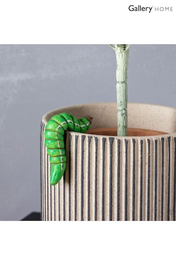 Gallery Home Green Claire the Caterplillar Pot Hanger 2 Pack (612542) | £20