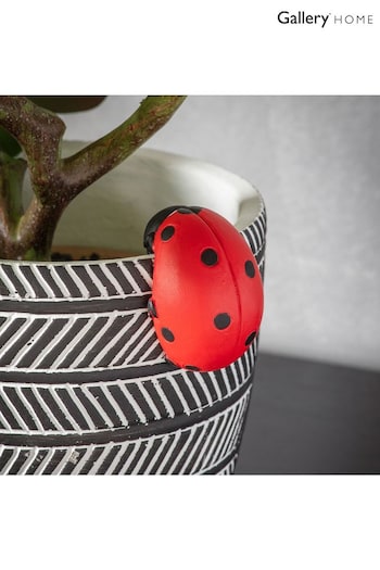 Gallery Home Red Laura the Ladybird Pot Hanger 2 Pack (613124) | £20