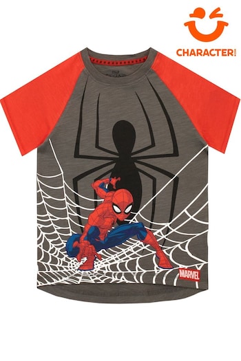 Character Brown Red/Grey Spiderman Short Sleeve T-Shirt (616518) | £13