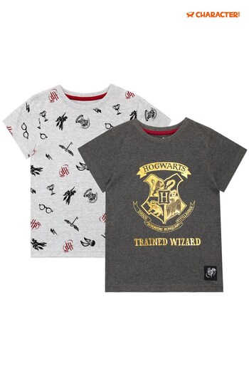 Character Grey Harry Potter 2 Multipack Short Sleeve T-Shirt (618597) | £18