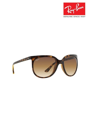 Ray-Ban Cats 1000 Sunglasses Brow (618922) | £146