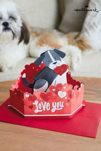 Hallmark Red Grey Musical And Motion Dog 3D Valentine's Day Card (636128) | £8