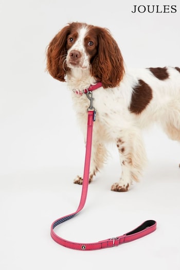 Joules Pink Leather Dog Lead (636182) | £19