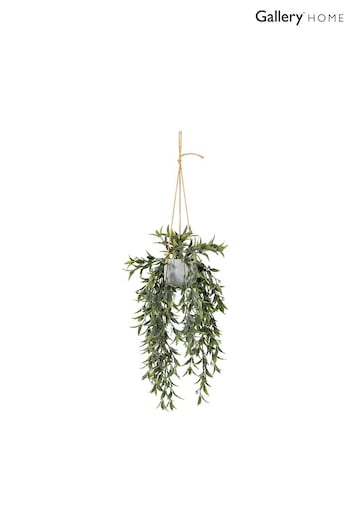 Gallery Home Green Hanging Willow in Cement Pot (638405) | £22