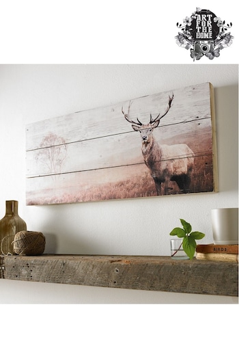 Art For The Home Natural Stag Wooden Plaque (639127) | £35