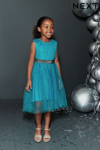 Teal Green Mesh Tie Back Party Dress (3-16yrs) (639627) | £25 - £31