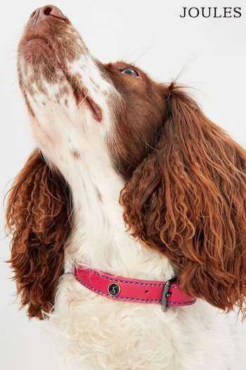 Joules Pink Adjustable Leather Dog Collar (645643) | £14 - £18