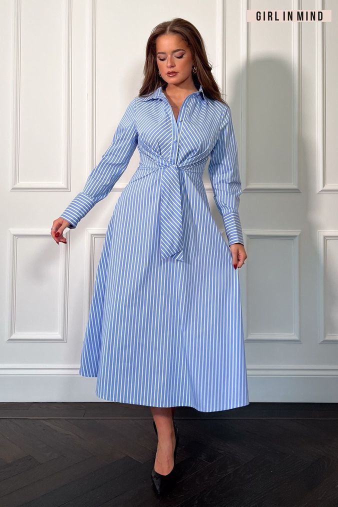 Buy Women s Blue Stripe Dresses Online Next UK