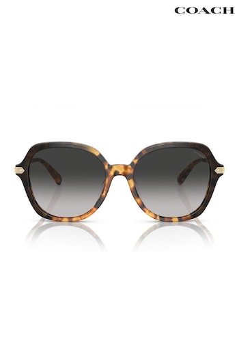 COACH Giacca HC8377U Brown Sunglasses (674497) | £154