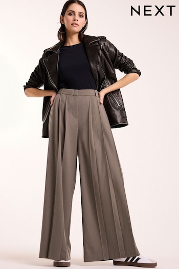 Mink Brown Mid Rise Wide Leg Pleated Trousers (681369) | £55