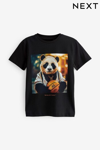 Black Basketball Panda Short Sleeve Graphic T-Shirt (3-16yrs) (681908) | £8 - £13